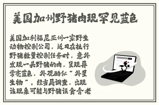 美女扒开腿让男生桶爽破解版